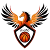 https://img.npsggw.com/img/basketball/team/6a10c55192f9c3fce2ecc4178a53072a.png