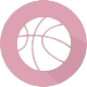 https://img.npsggw.com/img/basketball/team/b1b9bdf7023393aafb43a7c4238f3e3b.png