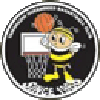 https://img.npsggw.com/img/basketball/team/e416830f4083698237c559f8988ddb25.png