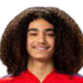 https://img.npsggw.com/img/football/player/87359ed9061cfd73513d827263deebcd.png