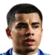 https://img.npsggw.com/img/football/player/bd7833ad28a23f00751787d125266400.png