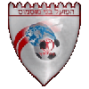 https://img.npsggw.com/img/football/team/24d9ea1322db01f6dd42da8543093526.png