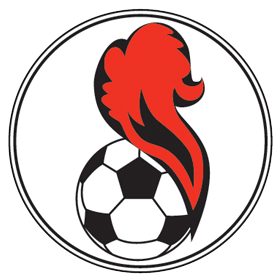 https://img.npsggw.com/img/football/team/5541e5015258ae82b121480f4164267d.png