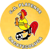 https://img.npsggw.com/img/football/team/63b0933cc303927659846a4ed54b1522.png