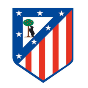 https://img.npsggw.com/img/football/team/a65e111e5483b52fc721be46f19f4982.png