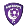 https://img.npsggw.com/img/football/team/c5a548d374c3bb29f1190bf670442c90.png